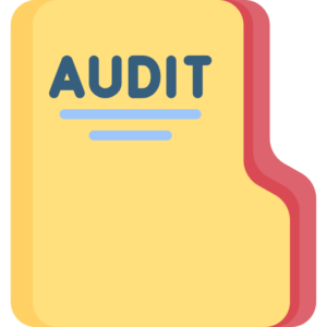 audit icon